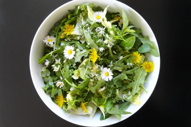 Wildkräuter-Blütensalat