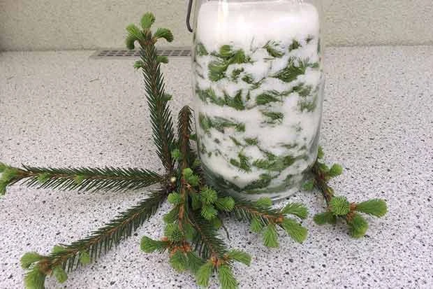 Fichten-Wipferl-Sirup