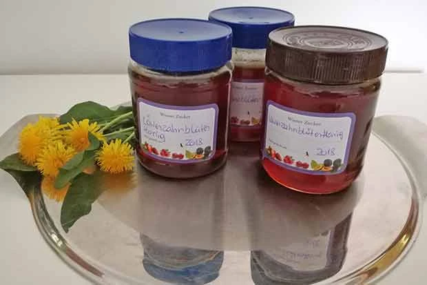 Löwenzahnblüten-Honig
