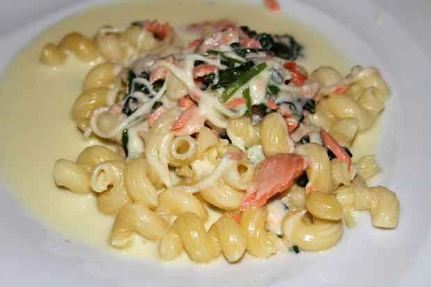 Nudeln in Spinat - Lachs - Mozzarella - Sauce
