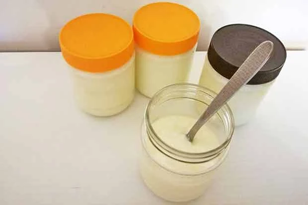Natur-Joghurt