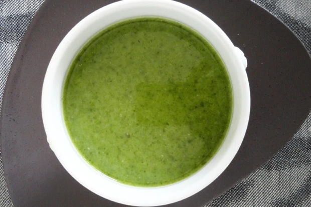 Gr&uuml;ne Fr&uuml;hlingssuppe aus Wiesenkr&auml;utern