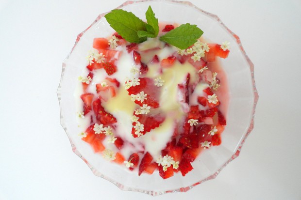 Erdbeeren mit Vanillejoghurt, Eierlikör und Holunder