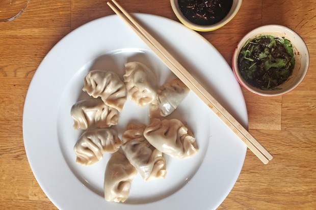 Grundrezept Chinesische Teigtaschen (Potstickers)
