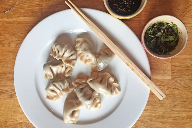 Grundrezept Chinesische Teigtaschen (Potstickers)