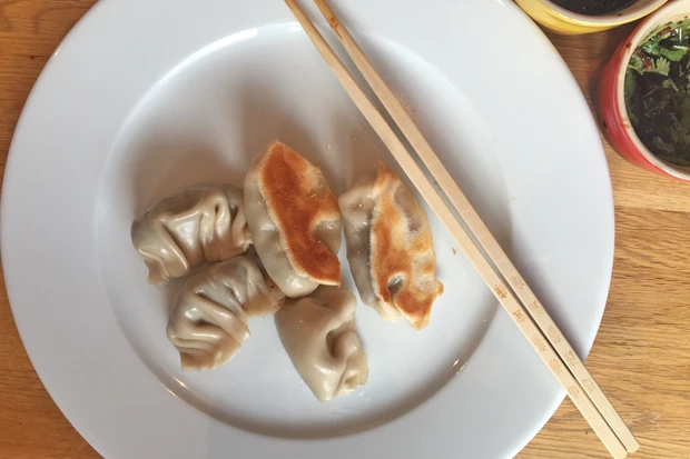Vegetarische chinesische Teigtaschen (Potstickers) mit Broccoli und Pilzen