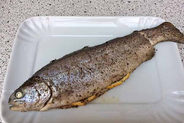 Forelle mit Pfefferkruste