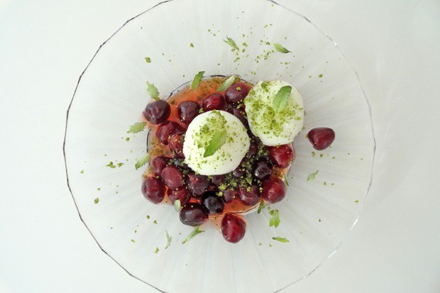 Wodkakirschen mit Zitronensorbet
