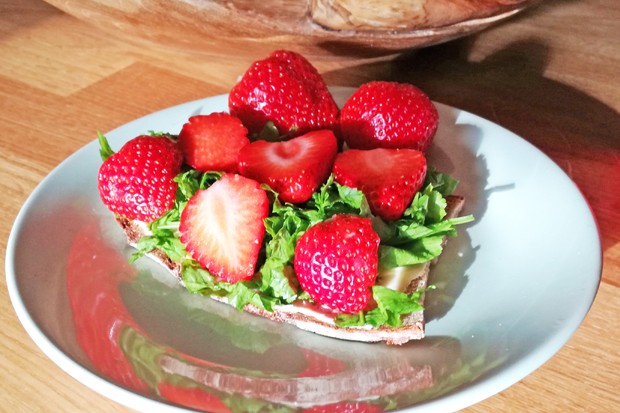 Erdbeer-Kresse-Brot