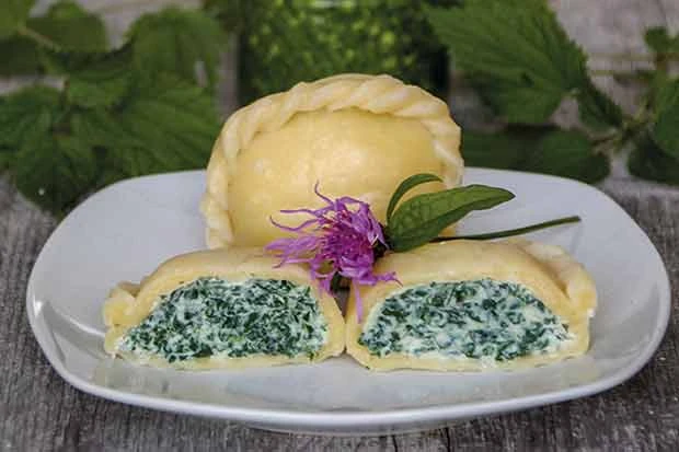 Brennessel-Ricotta Nudel