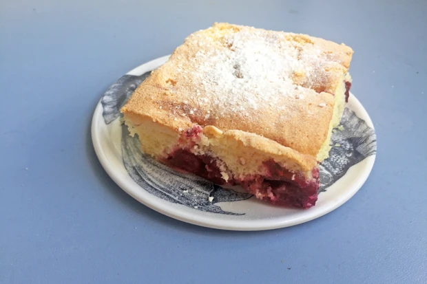 Einfacher &Ouml;lkuchen mit Obst