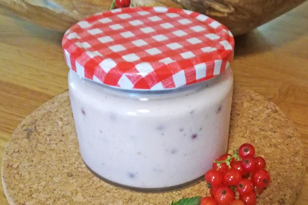 Bananen-Ribisel-Joghurt