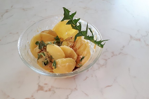 Kartoffel-Löwenzahn-Salat