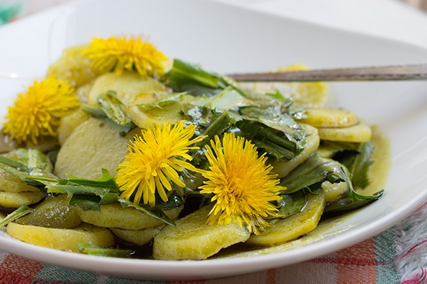 Kartoffel-Löwenzahn-Salat