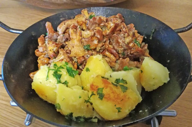 Eierschwammerl-Pfandl mit Kartoffeln