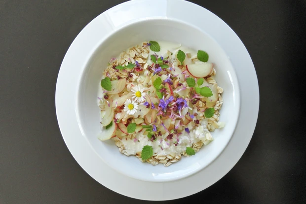 Weingartenpfirsichm&uuml;sli mit Sommerbl&uuml;ten