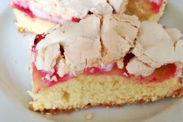 Ribiselschnitte mit Schneehaube