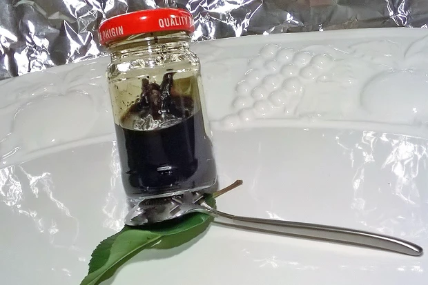 Vanille Extract
