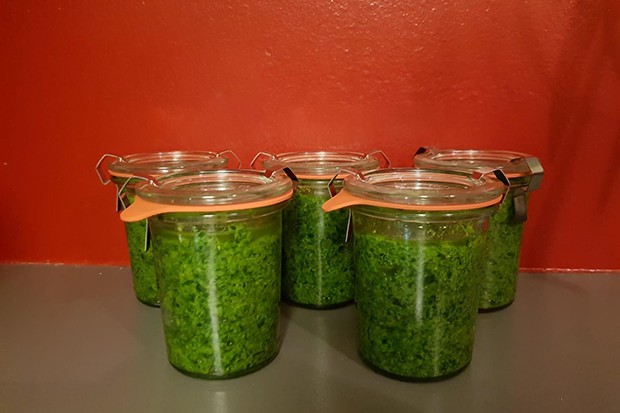 Bärlauchpesto mit Bergkäse