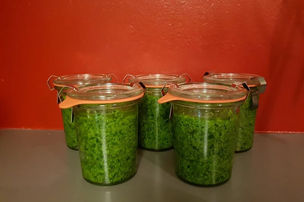 B&auml;rlauchpesto mit Bergk&auml;se