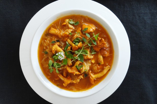 Krautsuppe mit Eierschwammerl