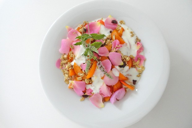 Marillen-Blüten-Müsli