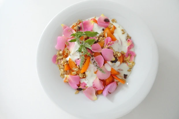 Marillen-Bl&uuml;ten-M&uuml;sli