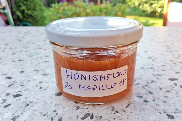 Honigmelone-Marille Marmelade