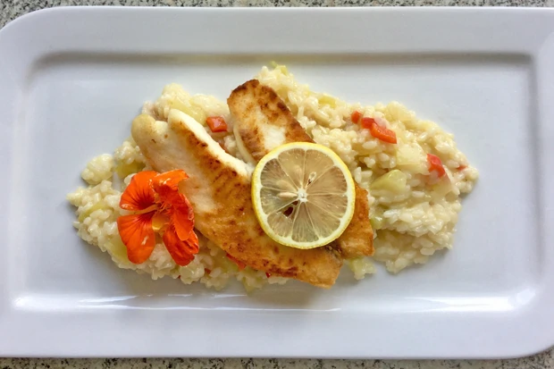 Zucchinirisotto mit Tilapia