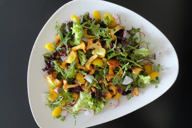 Sommersalat mit Eierschwammerl