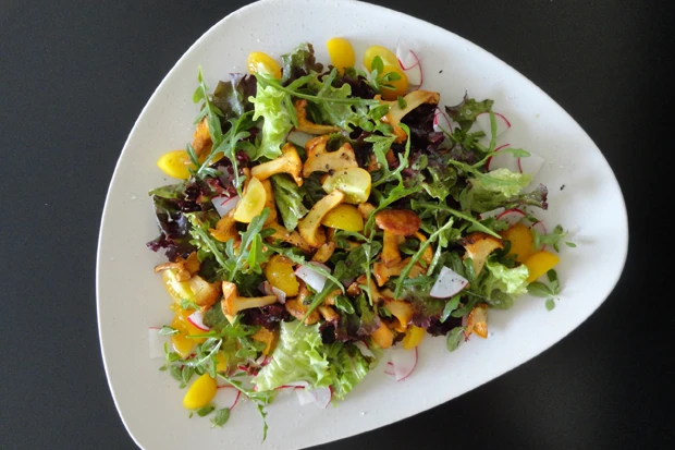 Sommersalat mit Eierschwammerl