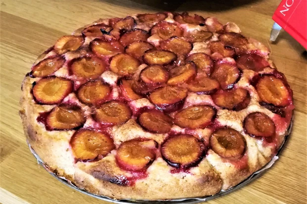 Dinkel-Joghurt- Zwetschgenkuchen
