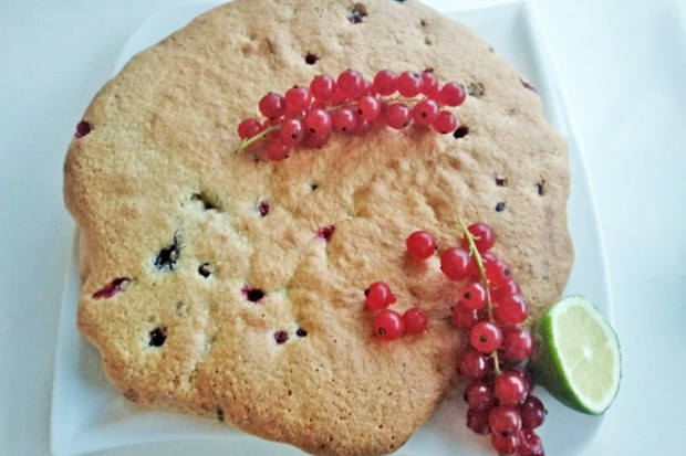 Kokos-Ribiselkuchen