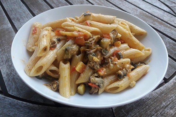 Penne mit Muscheln