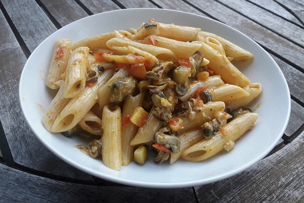 Penne mit Muscheln