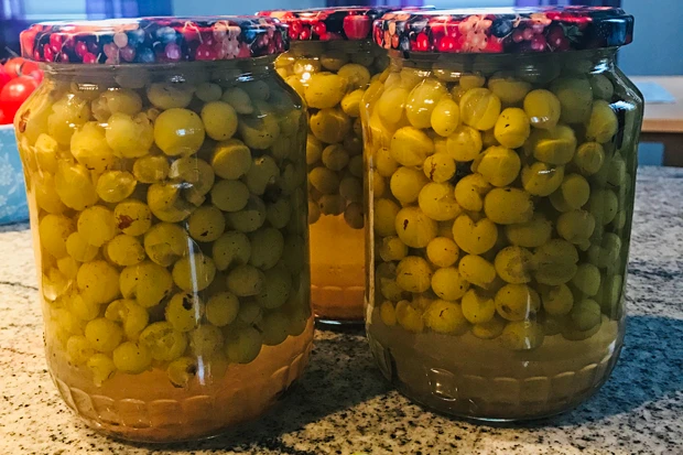 Weintraubenkompott