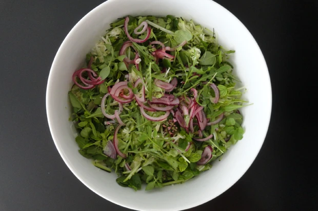 Gr&uuml;ner Salat mit Tropea-Zwiebel