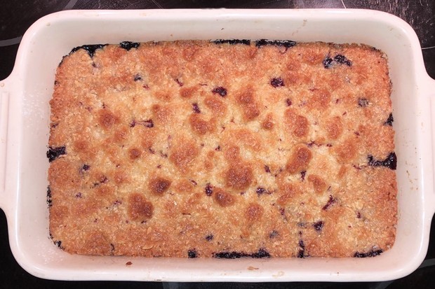 Schwedischer Schwarzbeerkuchen Blåbärspaj