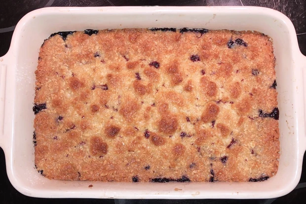Schwedischer Schwarzbeerkuchen Blåbärspaj