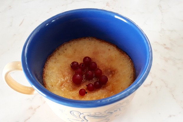 Tassenkuchen mit Ribisel