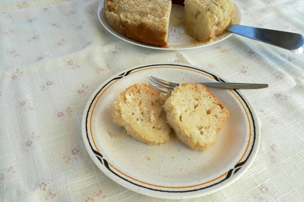 Kokoskuchen mit Apfelmus