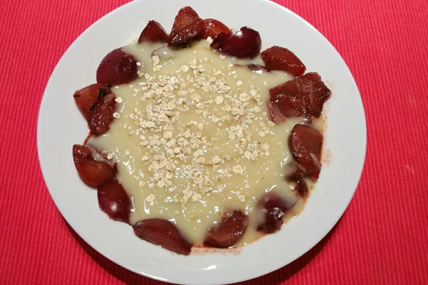 Pudding mit Hafermilch und Zwetschken