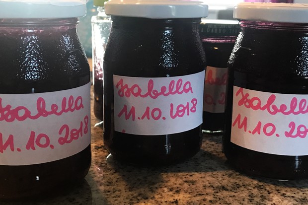 Isabella Marmelade