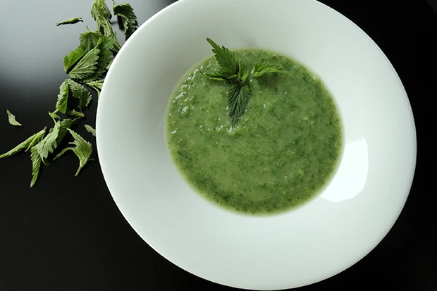 Brennnesselsuppe
