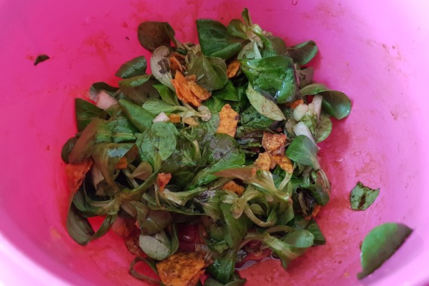 Vogerlsalat mit Tortilla Chips