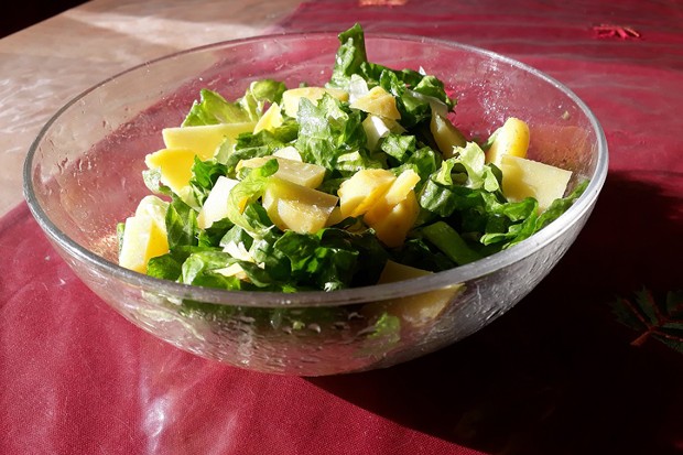 Endiviensalat mit Kartoffel