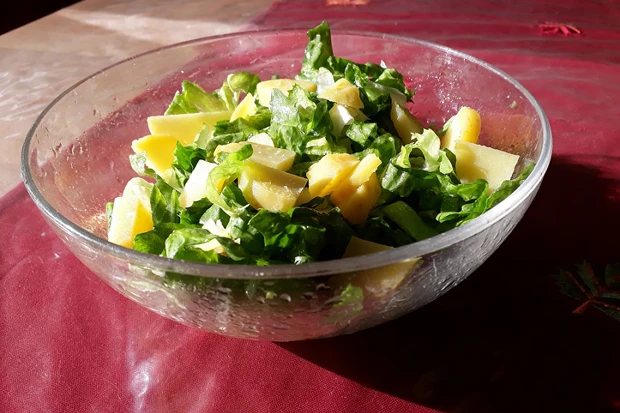 Endiviensalat mit Kartoffel
