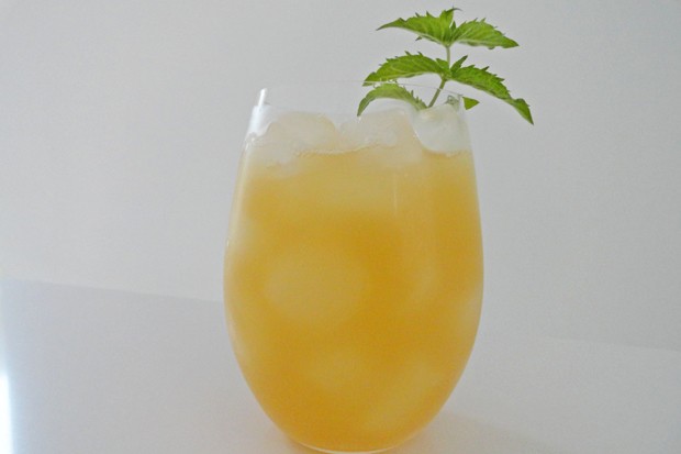 Saurer Apfel