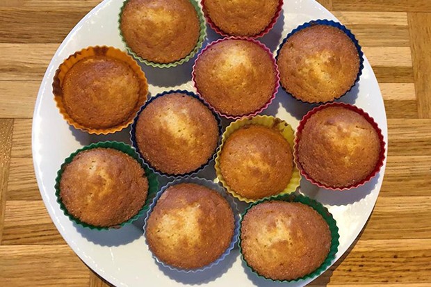Einfache Kokosmuffins
