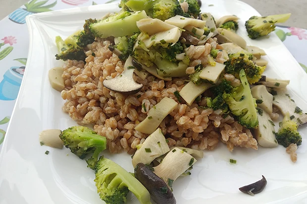 Dinkelreis mit Kr&auml;uterseitlingen und Brokkoli